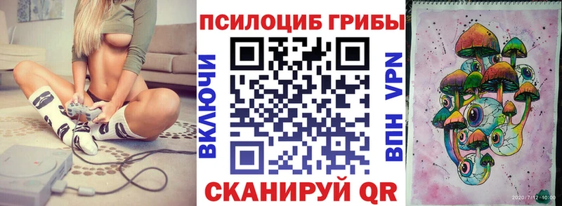 Купить закладки  Касимов  Галлюциногенные грибы Cubensis 