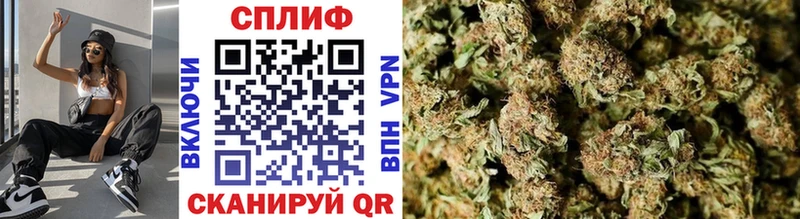 Канабис VHQ  Купить закладки  Касимов 